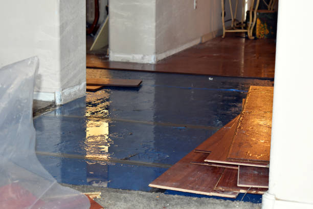 Professional Water Damage Restoration technician working in Concord, MA
